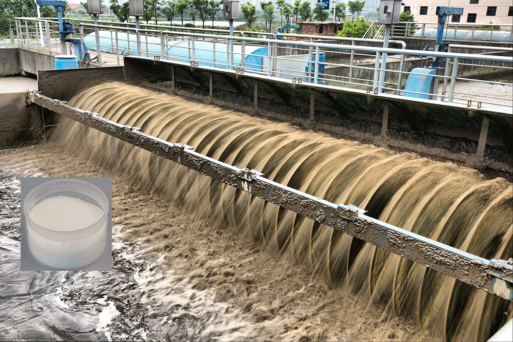 wastewater treatment sludge dewatering